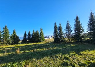 działka na sprzedaż - Zakopane
