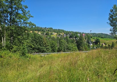 działka na sprzedaż - Zakopane