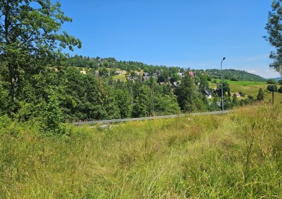 działka na sprzedaż - Zakopane