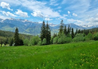 działka na sprzedaż - Kościelisko